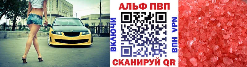 Alfa_PVP СК Строитель