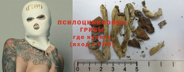 не бодяженный Арсеньев