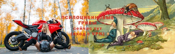 не бодяженный Арсеньев