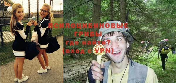 не бодяженный Арсеньев